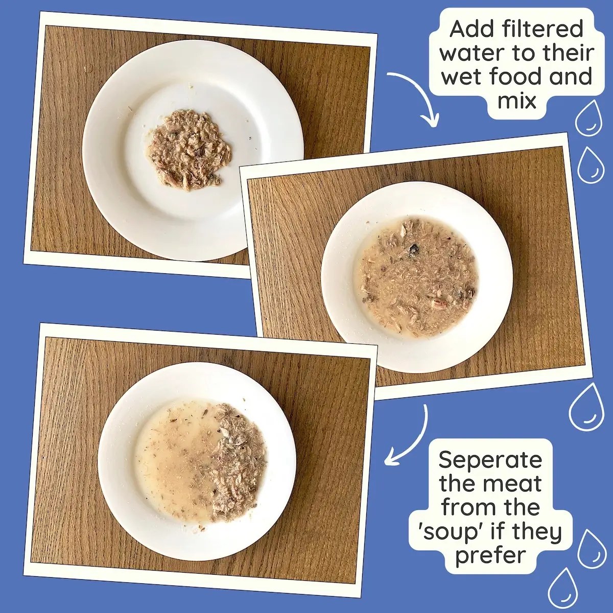 How to Get a Cat to Drink More Water 20 Cat Drinking Tips